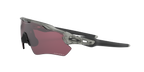 Oakley Radar EV Path 0OO9208 920882 Siva Tinta / Prizm Road Black – sportske naočale za cestu