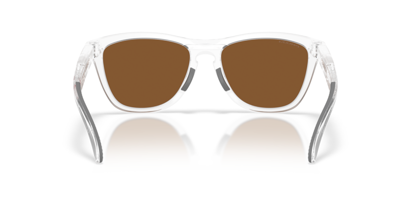 Oakley Frogskins range xl 0OO9503 950305 Mat prozirna / Prizm violet