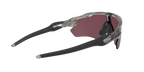 Oakley Radar EV Path 0OO9208 920882 Siva Tinta / Prizm Road Black – sportske naočale za cestu