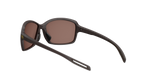 evil eye basou e018/75 6000 dark smeđa mat / LST® contrast silver - straznji prikaz