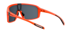 evil eye roadsense e037/75 2500 neon narančasta mat / LST® siva silver - straznji prikaz